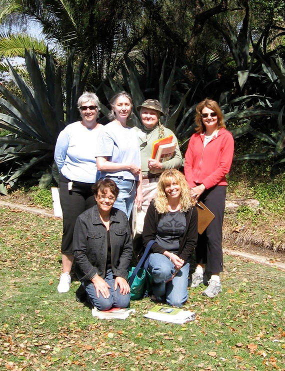 Presidio Park The Plant Survey Parish Rye