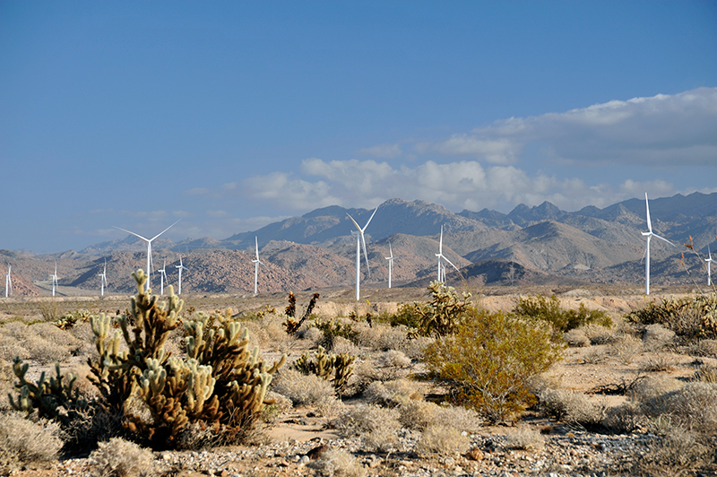 Anza-Borrego Desert State Park