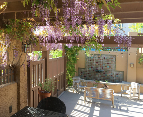 Wisteria once again thrives and decorates the house’s terrace, also enhanced with a new water feature and seating and dining areas.
