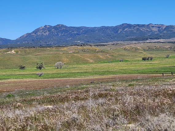 Photo of the great meadow near the Warner-Carrillo Ranch House