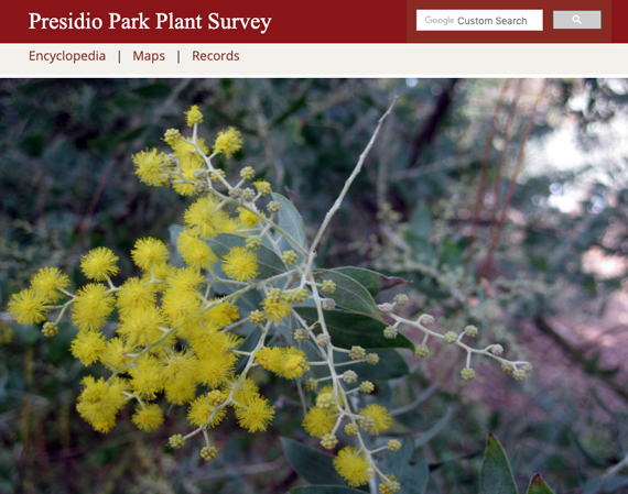 Image of the home page of Presidio Plant Survey