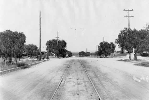 Young pepper trees line Adams Avenue, looking east from Marlborough Drive, in Kensington, c. 1920.