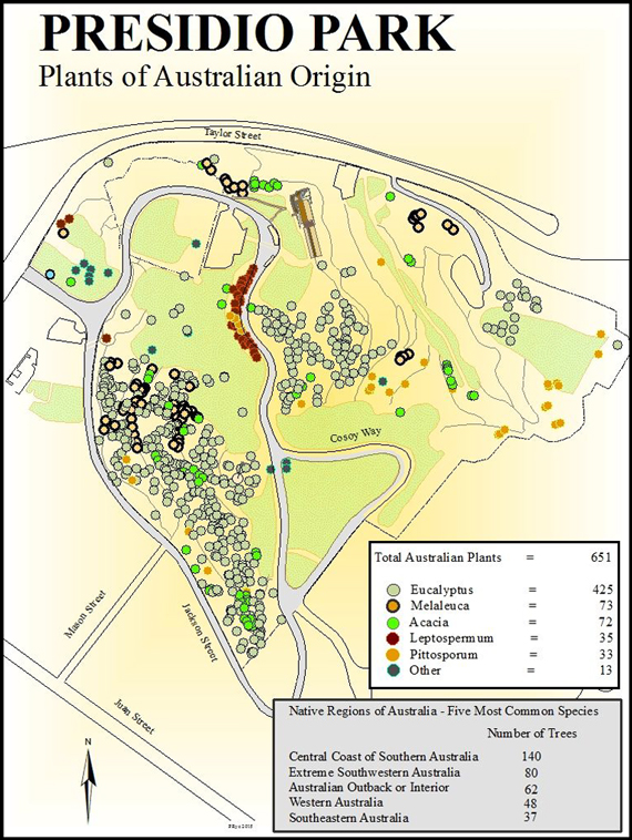 Presidio Park plants of Australian origin