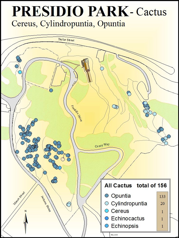 Presidio Park cactus