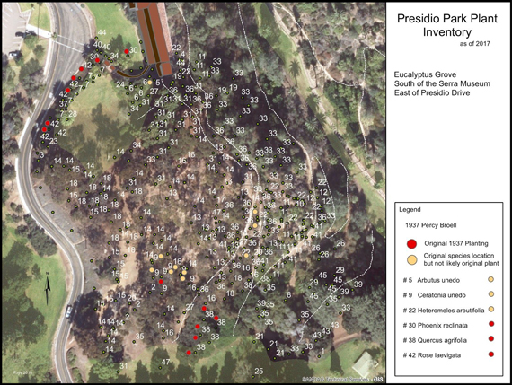 Presidio Park plant inventory