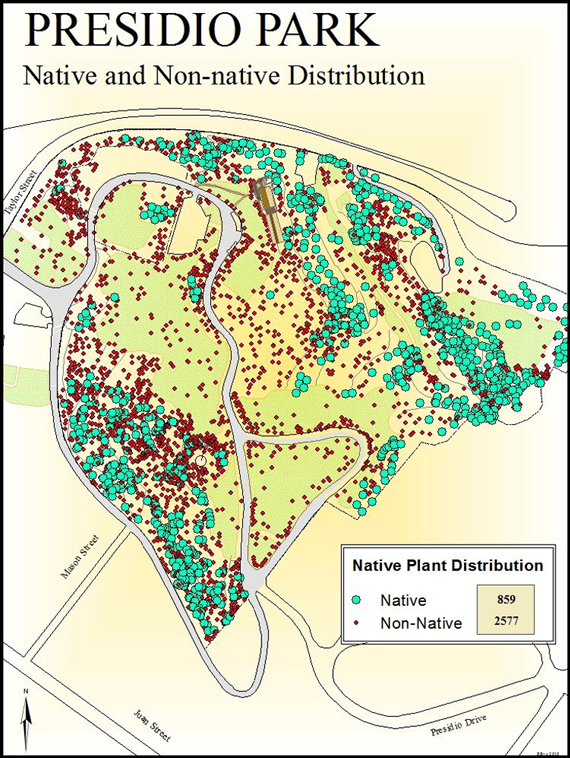 Presidio Park native and non-native plant and tree distribution